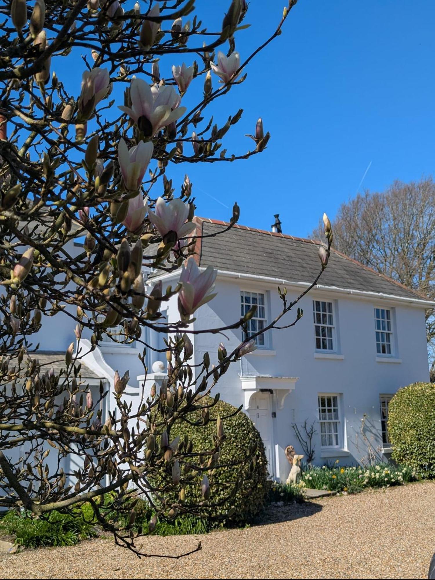 Georgian 2 Bedroom Apartment In Chichester With Free Parking - Chichester Holiday Properties 외부 사진
