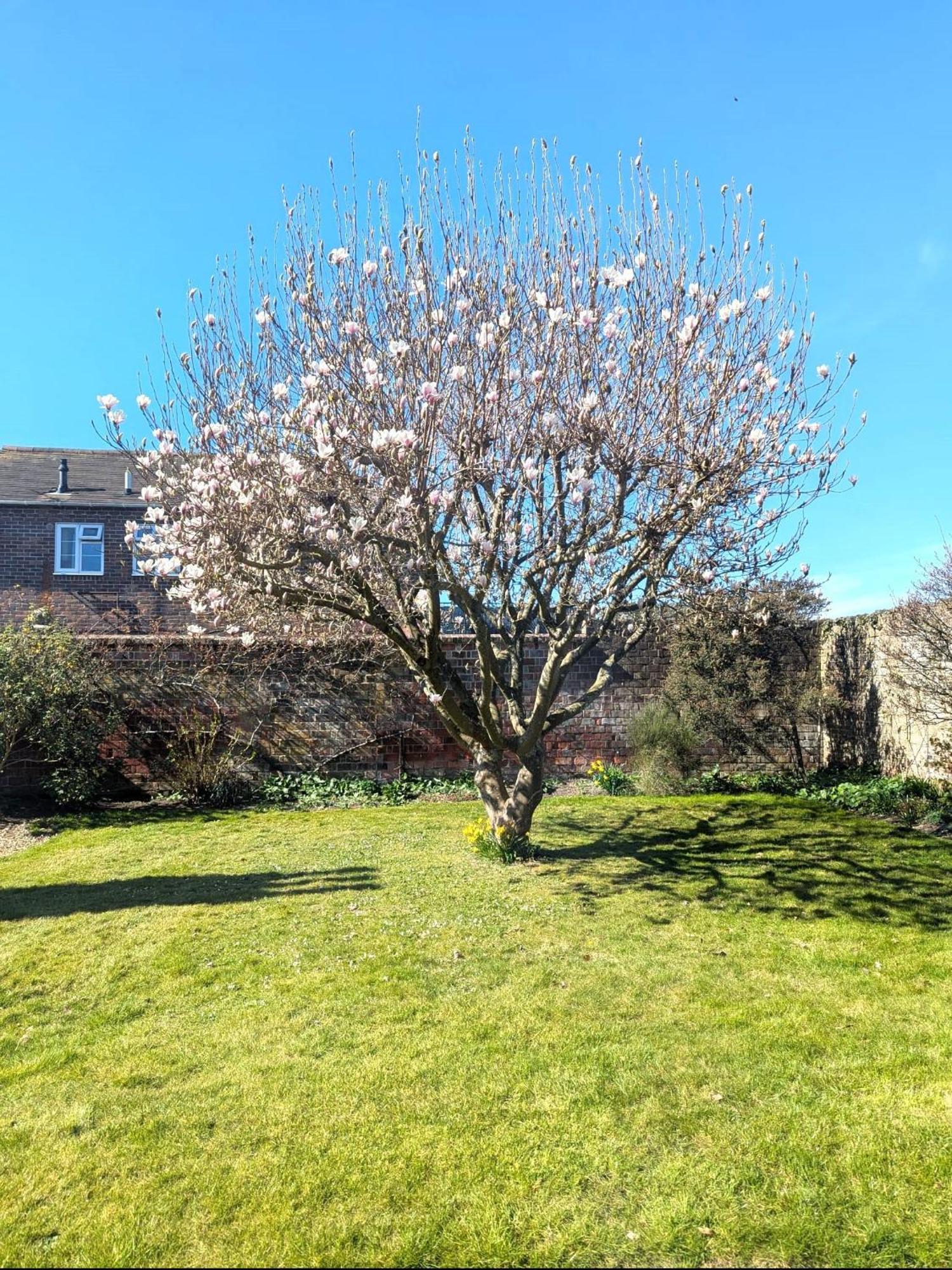 Georgian 2 Bedroom Apartment In Chichester With Free Parking - Chichester Holiday Properties 외부 사진