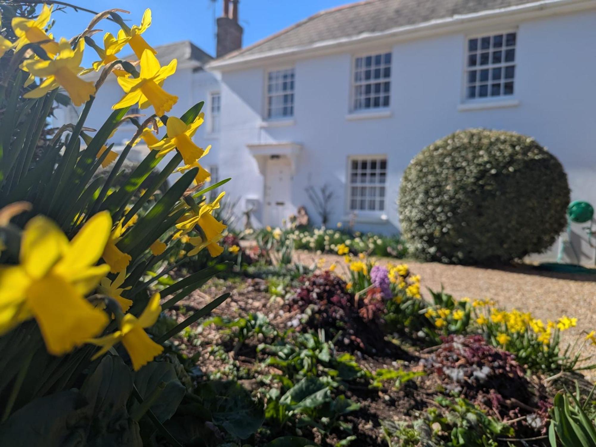 Georgian 2 Bedroom Apartment In Chichester With Free Parking - Chichester Holiday Properties 외부 사진