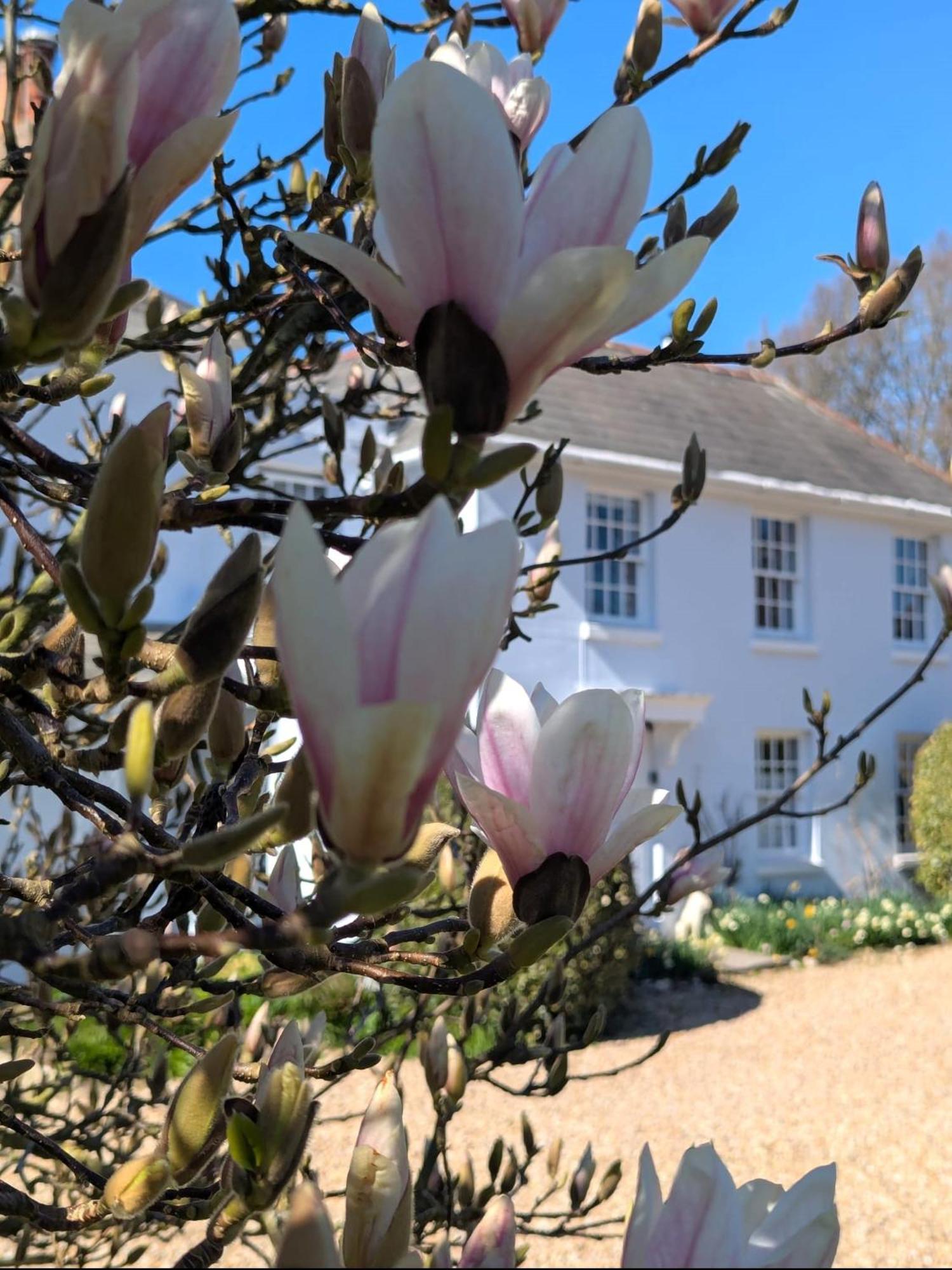Georgian 2 Bedroom Apartment In Chichester With Free Parking - Chichester Holiday Properties 외부 사진