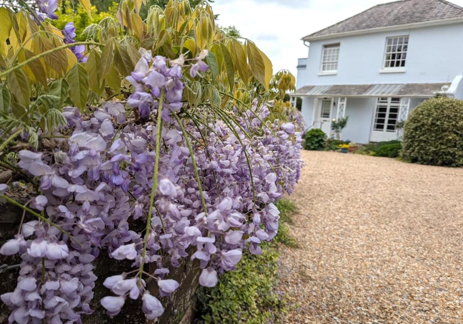 Georgian 2 Bedroom Apartment In Chichester With Free Parking - Chichester Holiday Properties 외부 사진